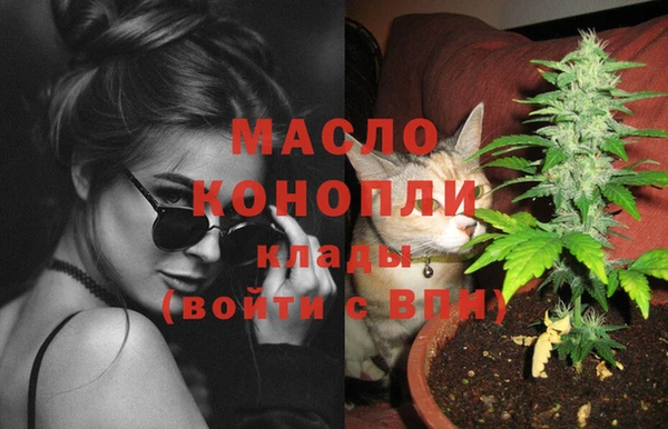 соль ск Михайлов