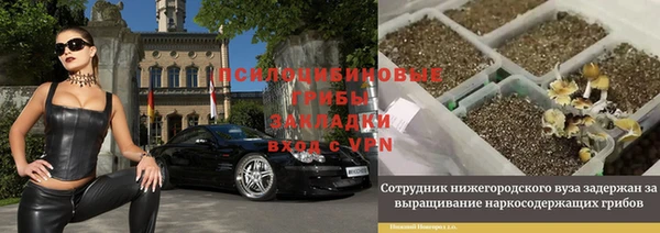 Альфа ПВП Нея
