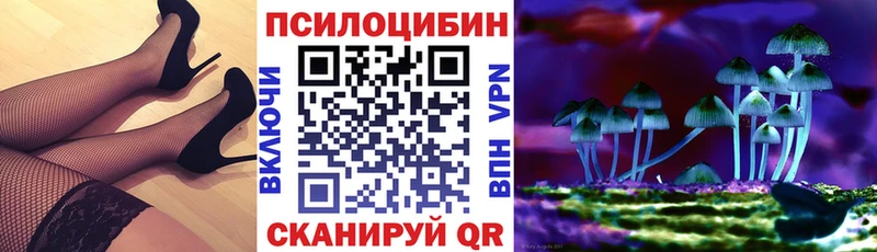 Псилоцибиновые грибы Cubensis  даркнет наркотические препараты  Нерчинск  где найти  
